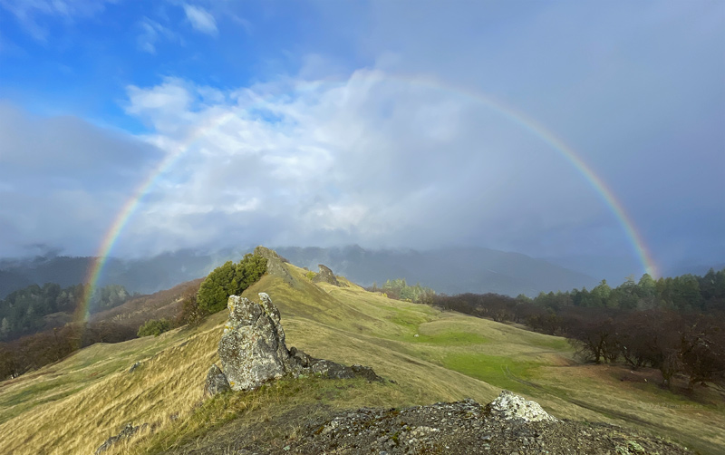 Rainbow,Spring Oaks
